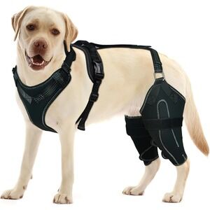 LISPOO Dog Acl Knee Brace Torn Acl Leg Luxating Patella Relieves Joint‎ Pain L